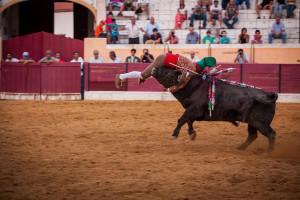 коррида, форкадо, Португалия, тореадор,Португалия
